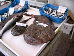 Mahón - rybí trh
